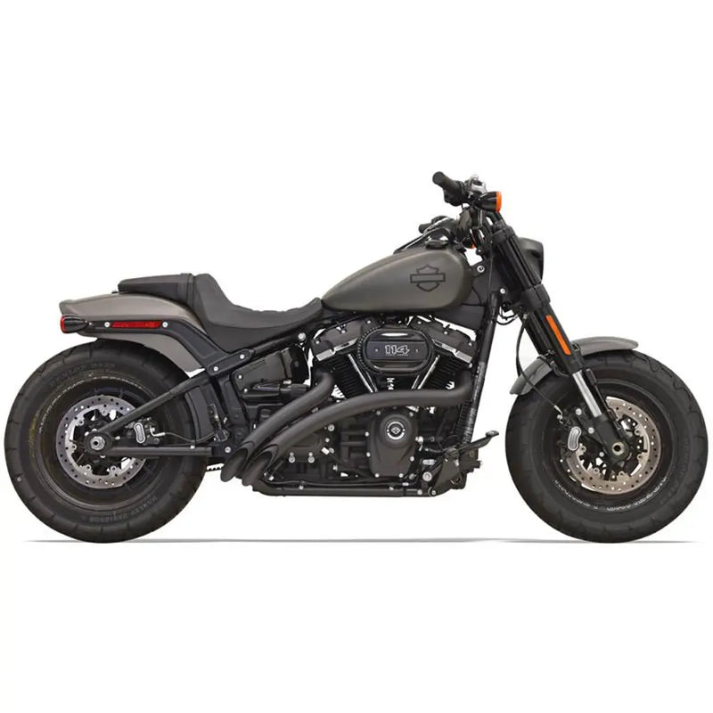 Bassani Sweeper Radial Exhaust System for Harley