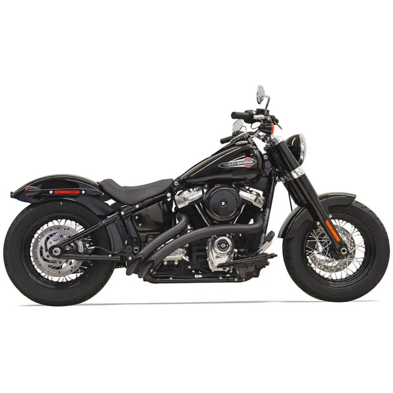 Bassani Sweeper Radial Exhaust System for Harley