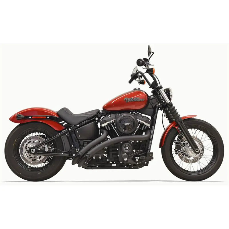 Bassani Sweeper Radial Exhaust System for Harley