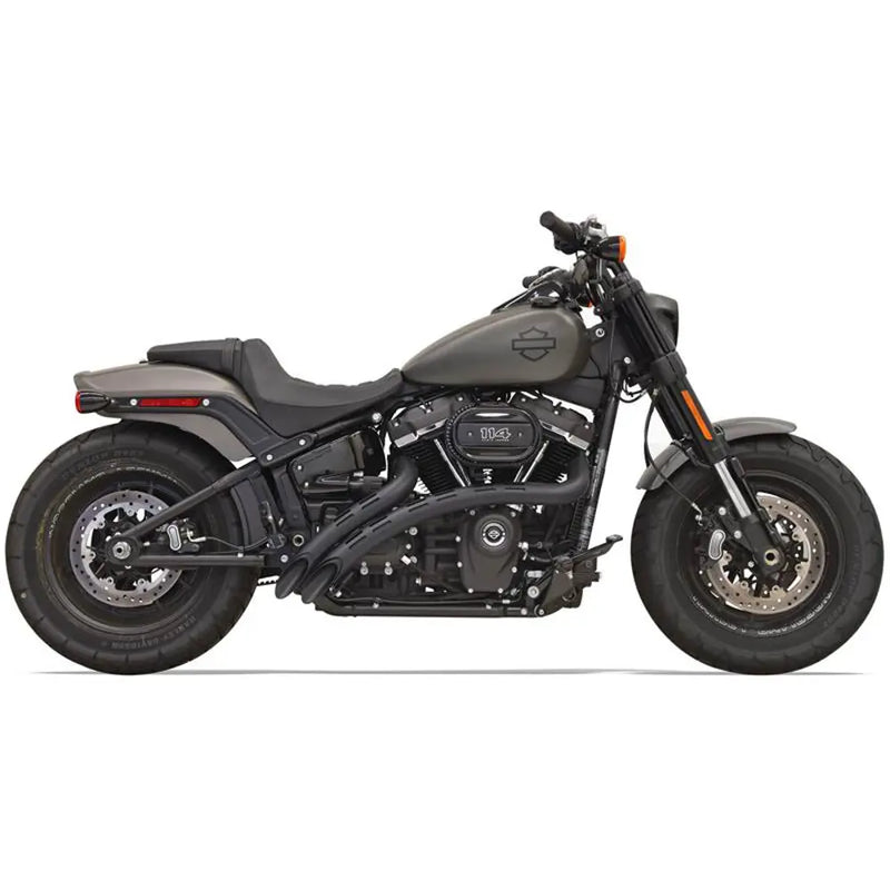 Bassani Sweeper Radial Exhaust System for Harley