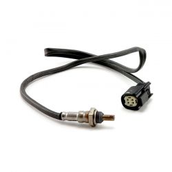 O2 Oxygen Sensor for Harley