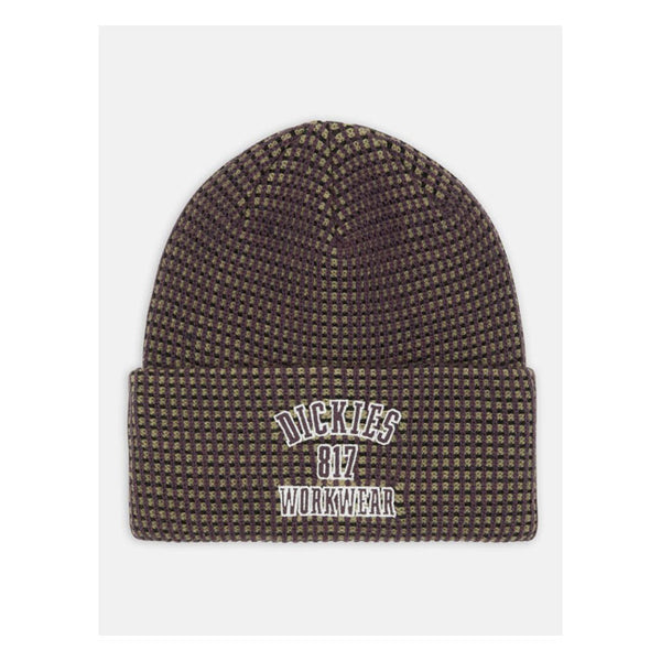 Dickies Columbia Falls Beanie
