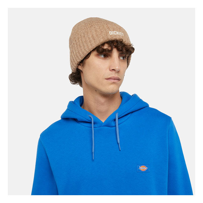 Dickies Harlowtown Beanie