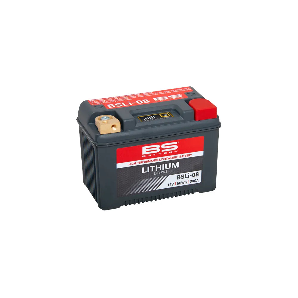 BS Battery High Performance Lithium LiFePO4 Motorcycle Battery for Har