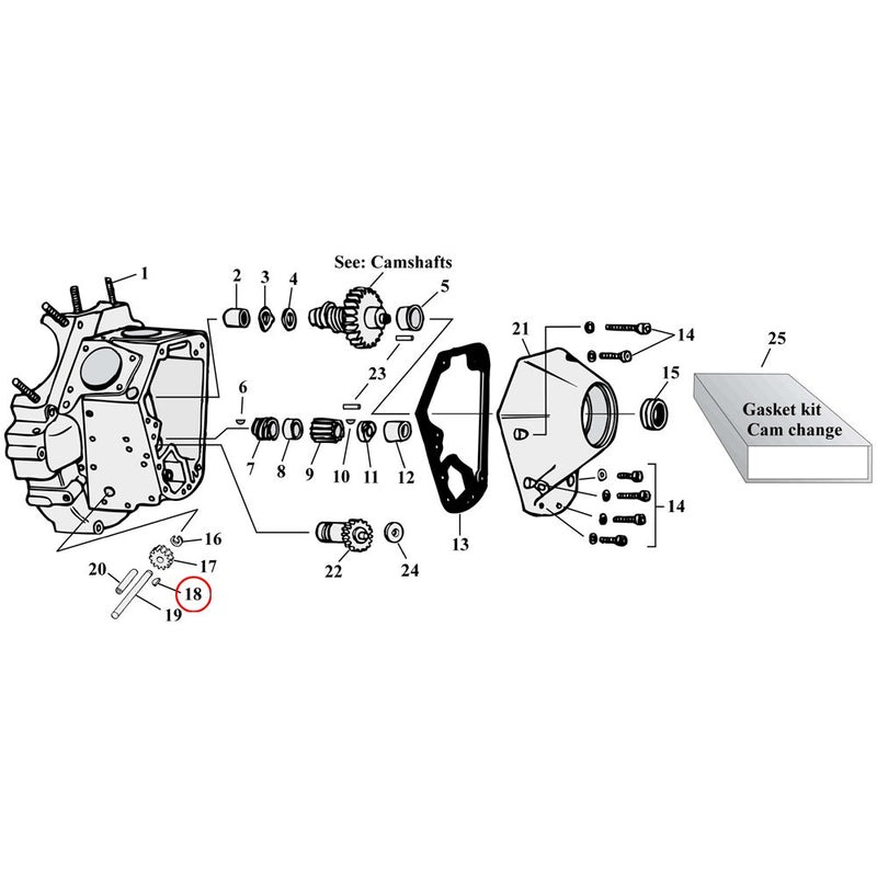 Cam Drive / Cover Parts Diagram Exploded View for Harley Shovelhead