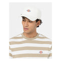 Dickies Hardwick Baseball Cap Cloud