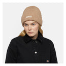 Dickies Harlowtown Beanie  - Customhoj