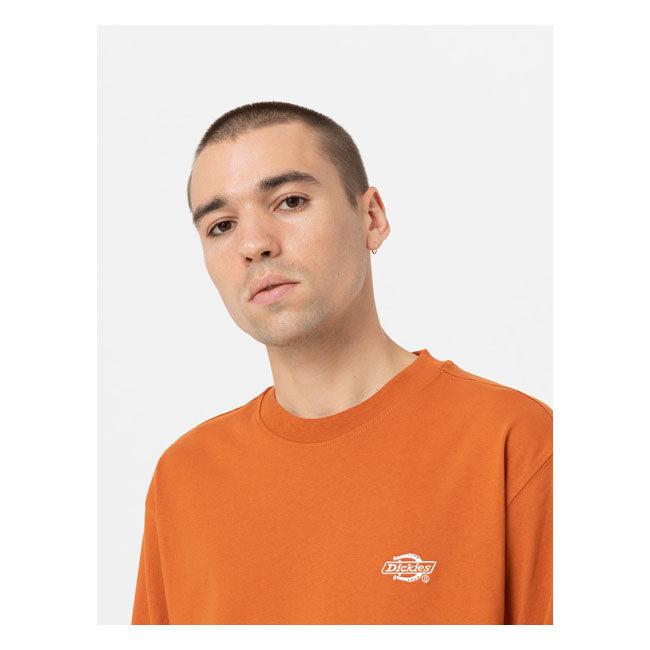 Dickies Summerdale Longsleeve