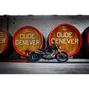 Mad Twisted 2-into-1-into-2 Exhaust System for Harley 86-22 XL Sportster  - Customhoj