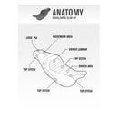 Saddlemen Slim Motorcyle Seat for Harley