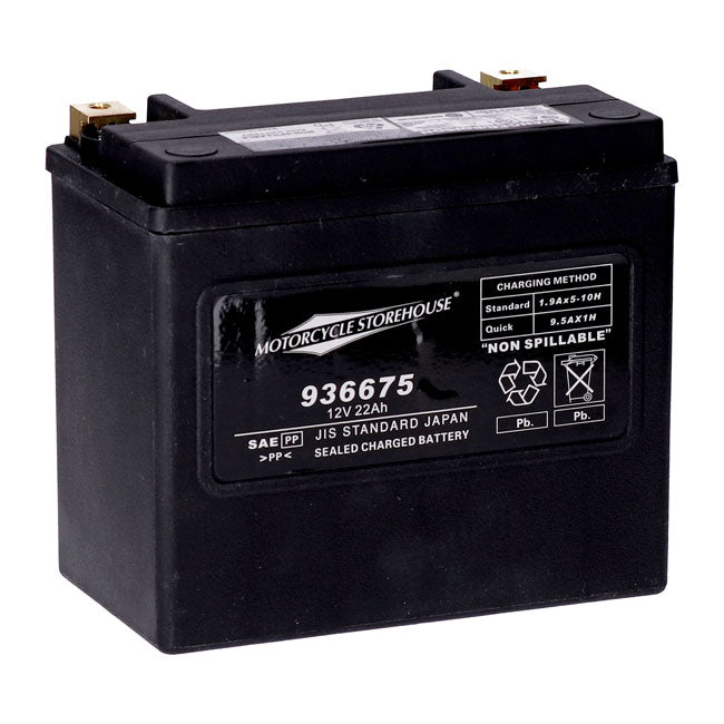 MCS 12V AGM Battery 22Ah Left+ 325CCA
