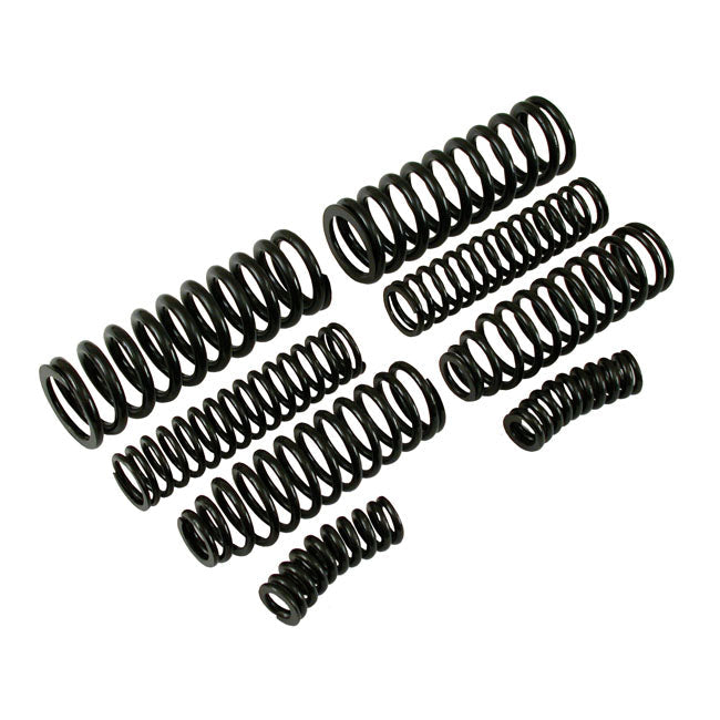 SAMWEL Springer reservdelar Svart Springer Replacement Spring Set (8). Parkerized / Svart / Krom. BT 36-45; WLC 42-43 Customhoj